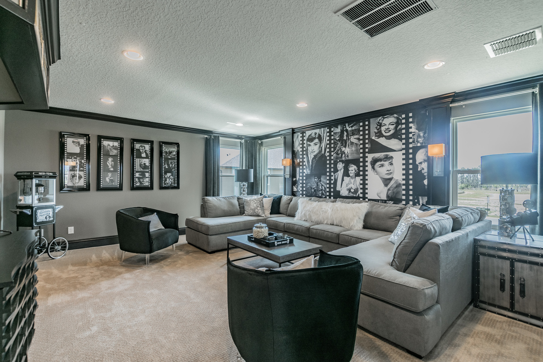 Flex Room Home Theater