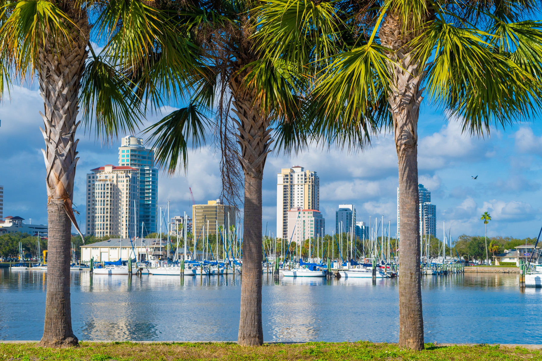 Sarasota Skyline